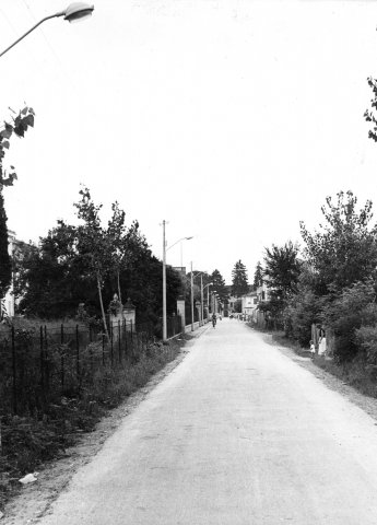 gaiba-miscellanea-003
