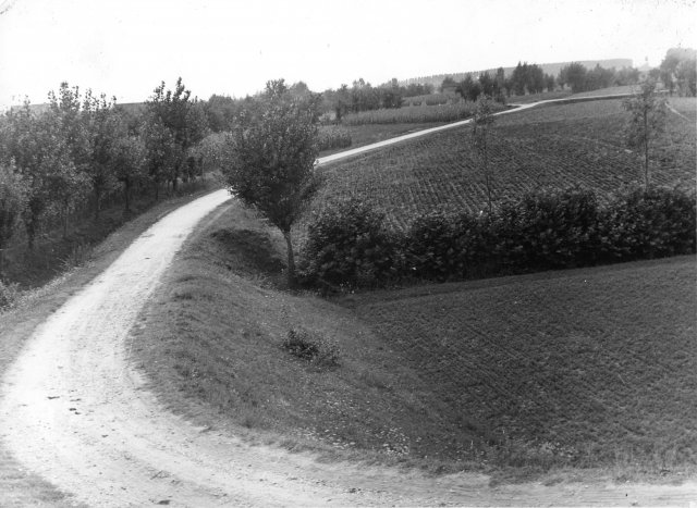gaiba-miscellanea-019