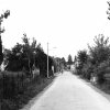 gaiba-miscellanea-003
