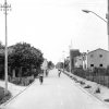 gaiba-miscellanea-008